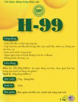 H-99